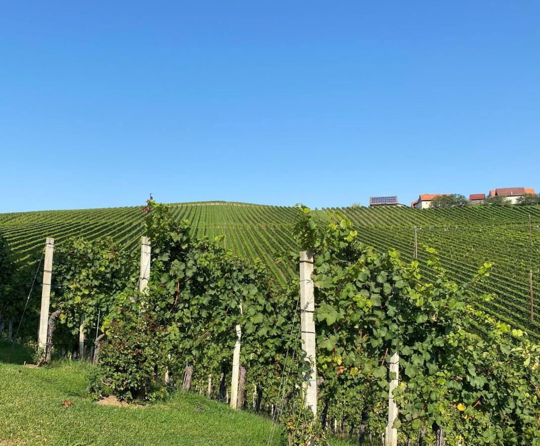 Wein Kultur Apartment Flavia Solva Wagna Esterno foto